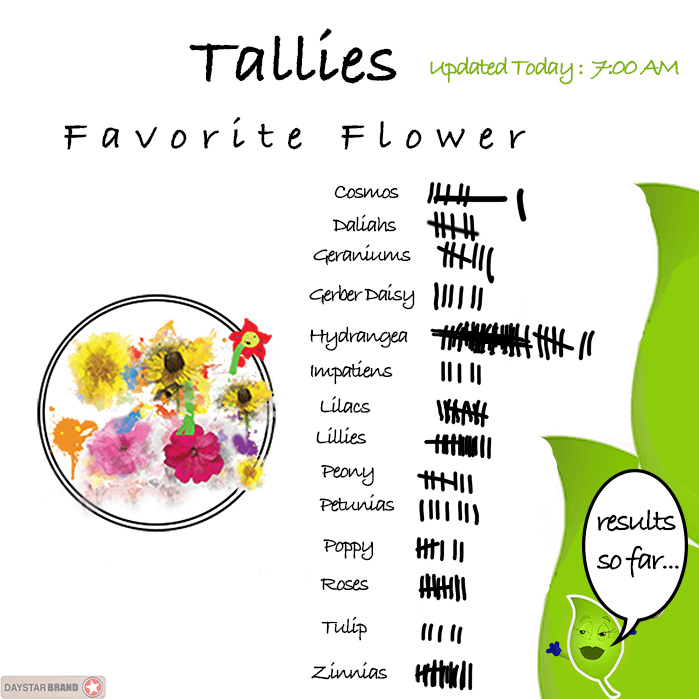 Eastern Market Flower Deals Flower Day Deals & Tips